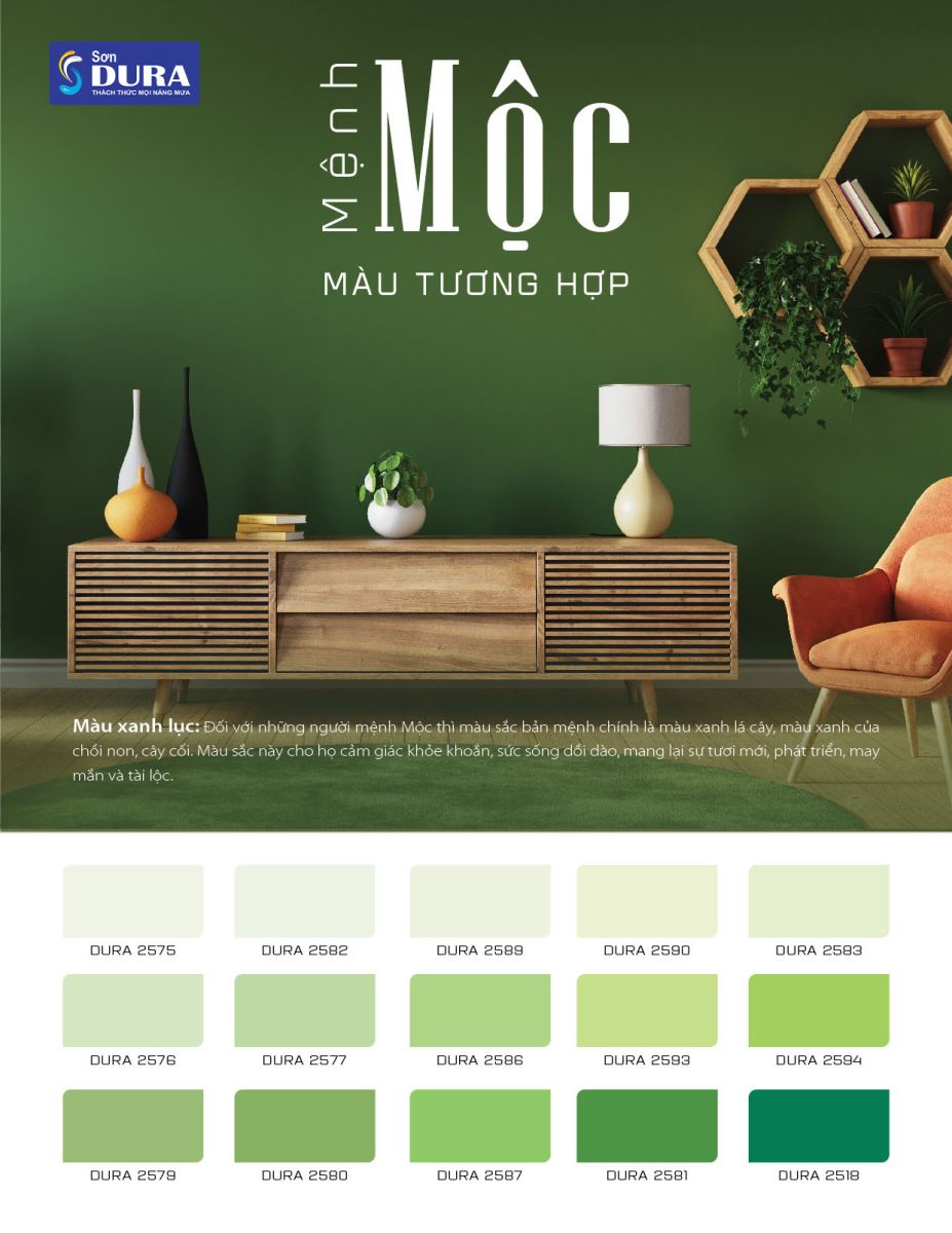 mệnh mộc sơn nhà màu gì 