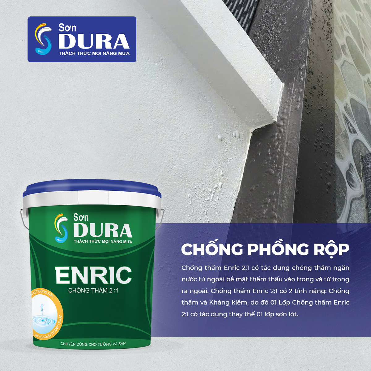 Chống thấm Enric 2:1